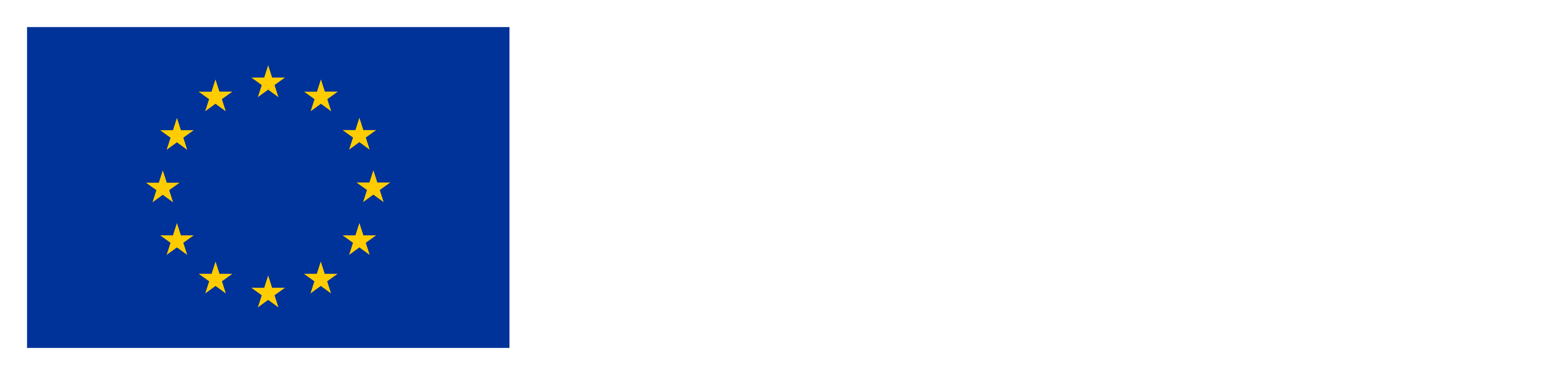 EU Logo
